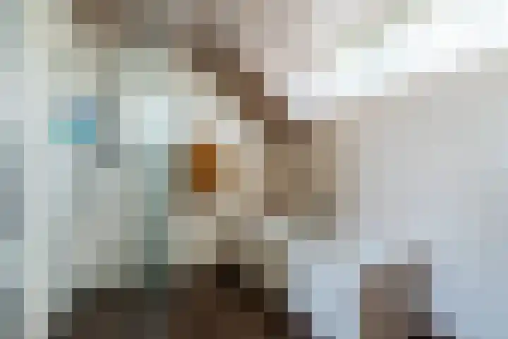 De Wan 1 Geffen thumbnail 30