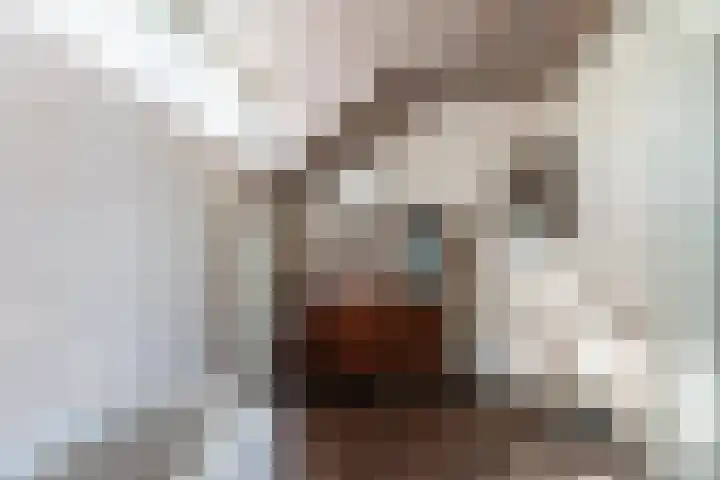 De Wan 1 Geffen thumbnail 31