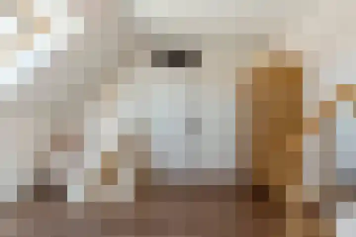 De Wan 1 Geffen thumbnail 35