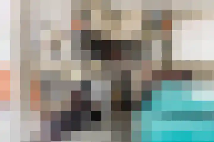 De Wan 1 Geffen thumbnail 38