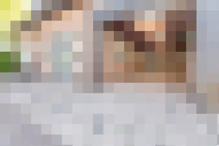 De Wan 1 Geffen thumbnail 4