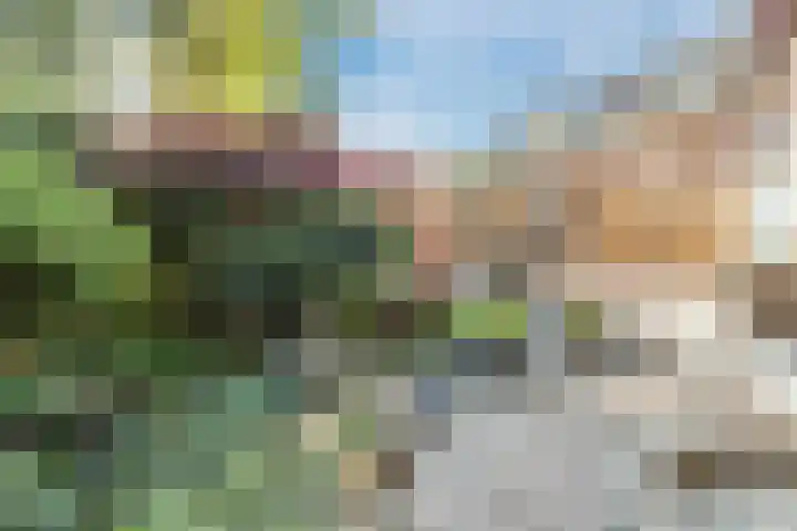De Wan 1 Geffen thumbnail 41