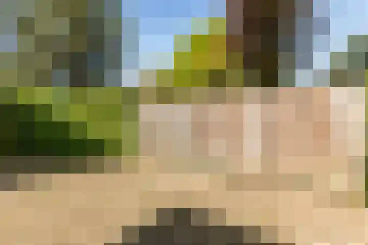 De Wan 1 Geffen thumbnail 45