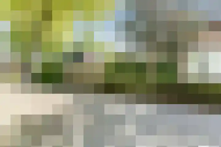De Wan 1 Geffen thumbnail 46