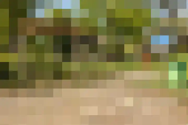 De Wan 1 Geffen thumbnail 48