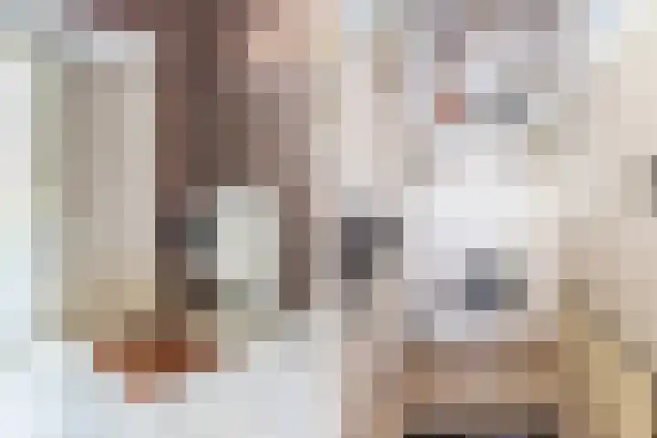 De Wan 1 Geffen thumbnail 8