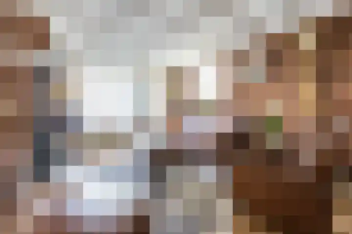 De Wan 1 Geffen thumbnail 9