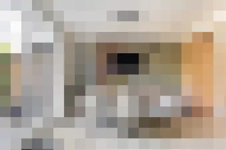 De Wanne 19 Markelo thumbnail 14