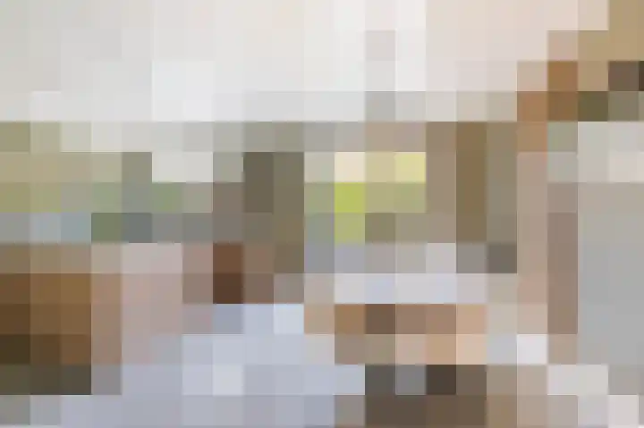 De Wanne 19 Markelo thumbnail 15