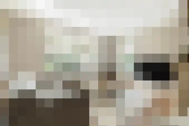 De Wanne 19 Markelo thumbnail 17