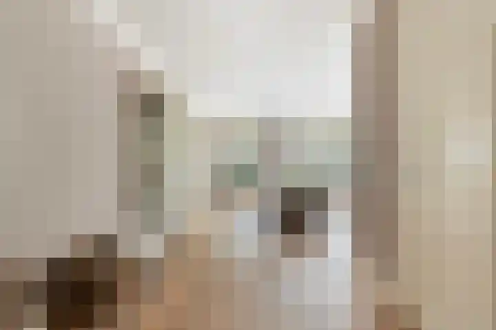 De Wanne 19 Markelo thumbnail 21