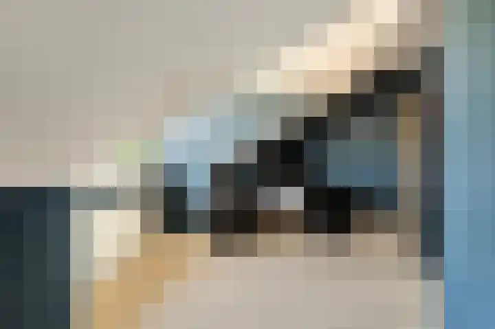 De Wanne 19 Markelo thumbnail 34