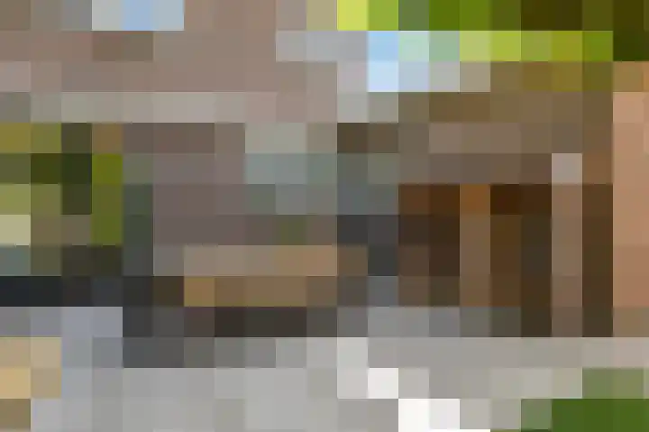 De Wanne 19 Markelo thumbnail 4