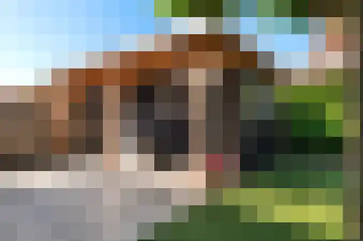 De Wanne 19 Markelo thumbnail 6