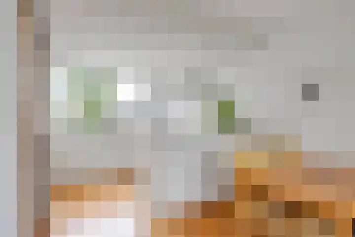 De Warren 15 Balk thumbnail 12