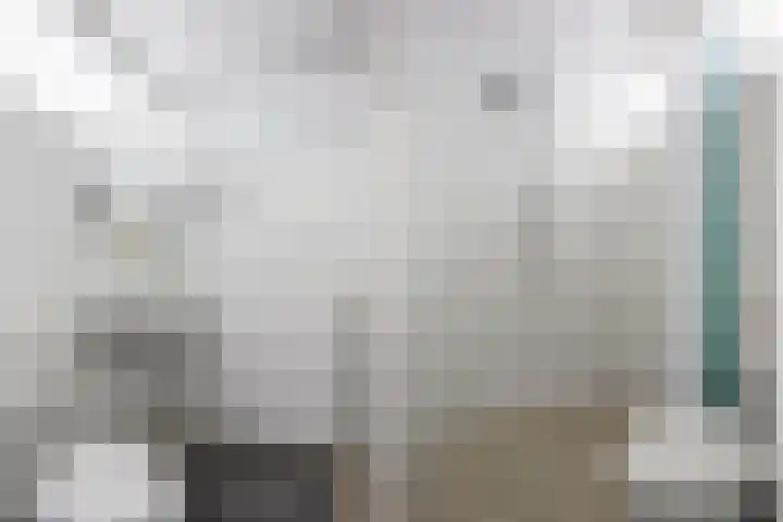 De Warren 15 Balk thumbnail 26