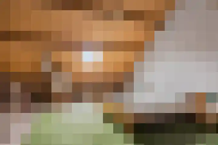De Warren 15 Balk thumbnail 27