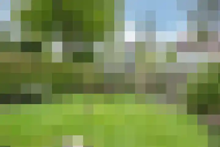 De Warren 15 Balk thumbnail 30