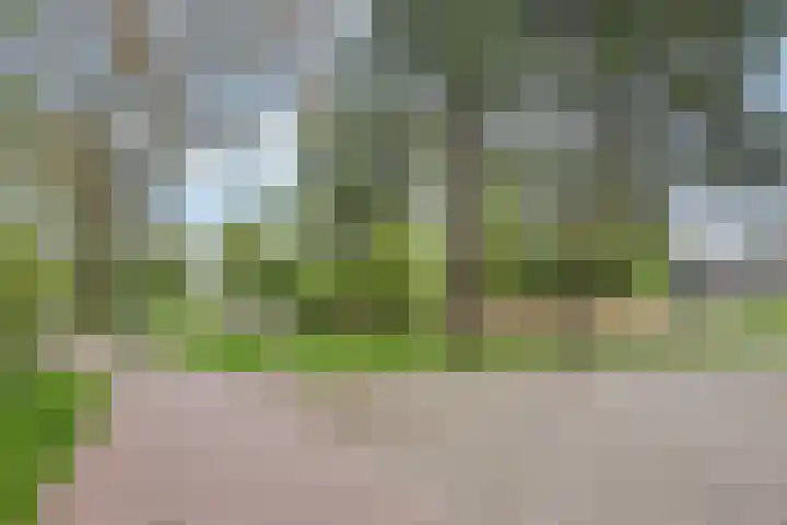 De Warren 15 Balk thumbnail 34