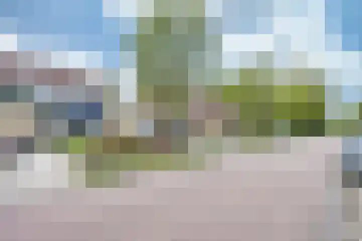 De Warren 15 Balk thumbnail 4