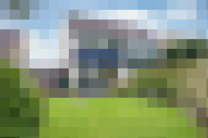 De Warren 15 Balk thumbnail 5