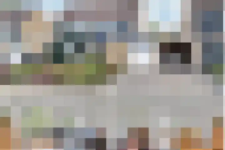 De Warren 15 Balk thumbnail 6