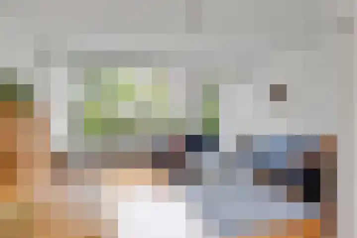 De Warren 15 Balk thumbnail 9