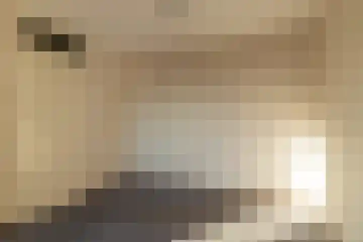 De Warren 21 Balk thumbnail 17