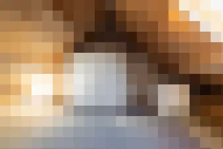 De Warren 21 Balk thumbnail 23