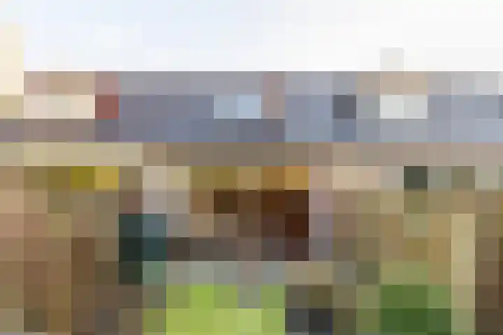 De Warren 21 Balk thumbnail 26