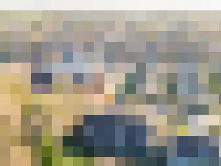 De Warren 21 Balk thumbnail 4