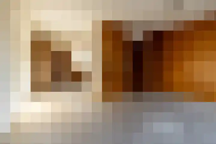 De Warren 21 Balk thumbnail 6
