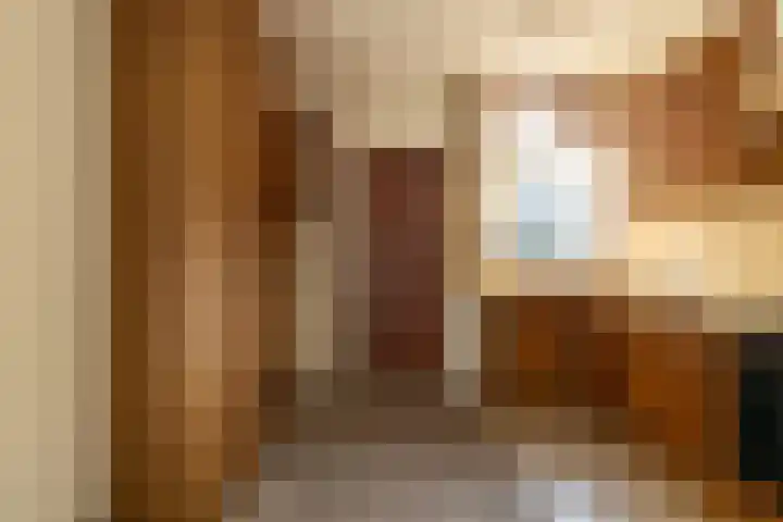 De Warren 21 Balk thumbnail 8