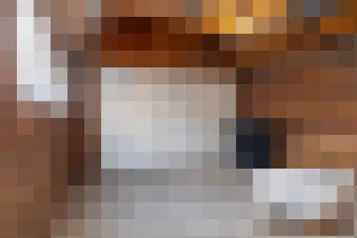 De Warren 38 Balk thumbnail 21