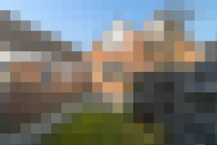 De Warren 38 Balk thumbnail 22