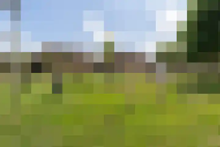 De Waterlelie 9 Zwartsluis thumbnail 10