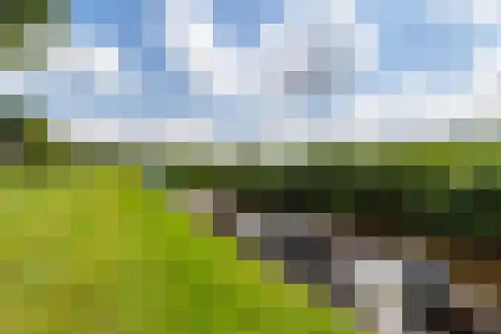 De Waterlelie 9 Zwartsluis thumbnail 11