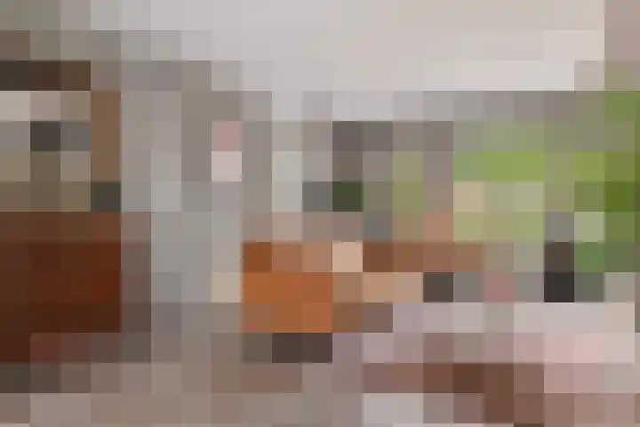 De Waterlelie 9 Zwartsluis thumbnail 16