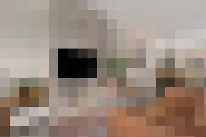De Waterlelie 9 Zwartsluis thumbnail 17
