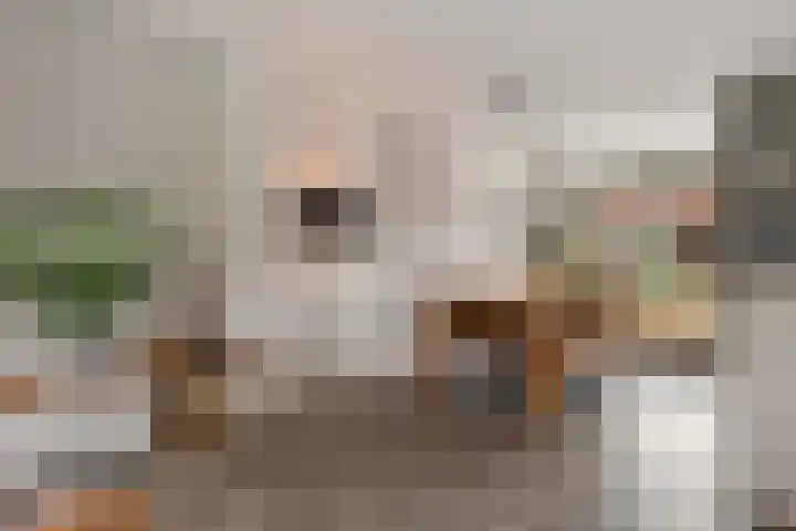 De Waterlelie 9 Zwartsluis thumbnail 22