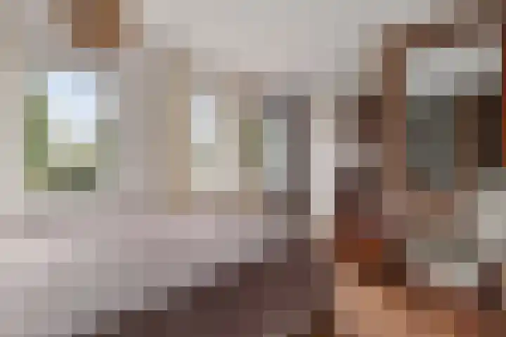 De Waterlelie 9 Zwartsluis thumbnail 35