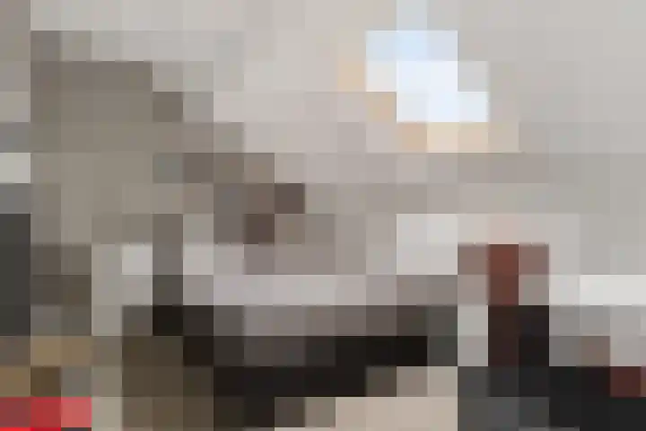 De Waterlelie 9 Zwartsluis thumbnail 38