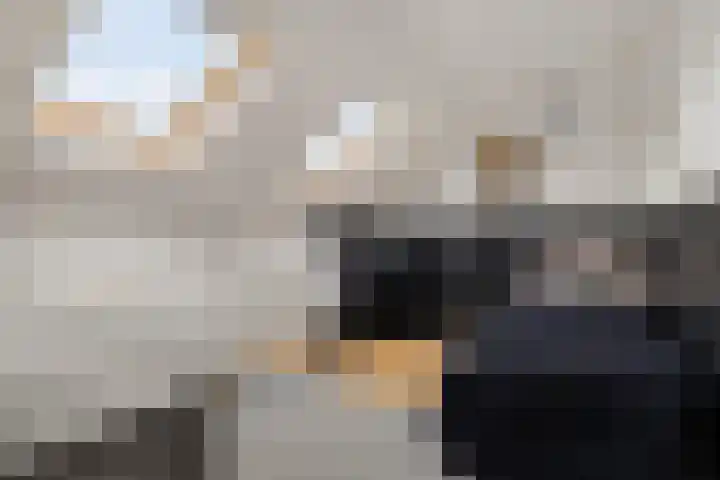 De Waterlelie 9 Zwartsluis thumbnail 39