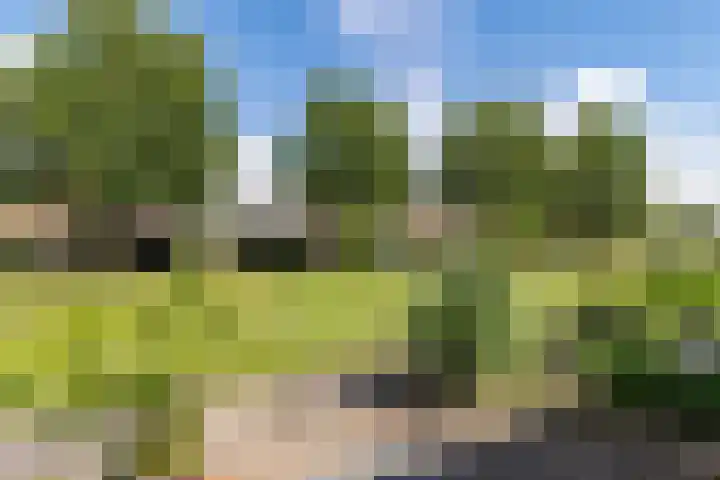 De Waterlelie 9 Zwartsluis thumbnail 8