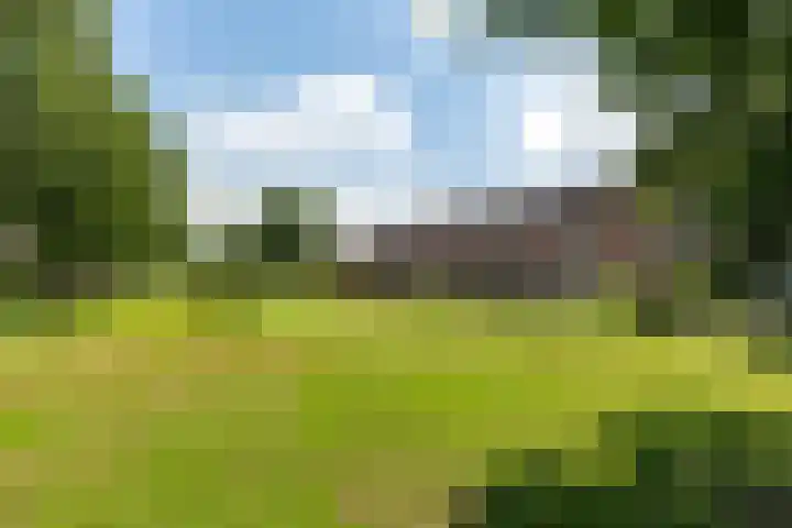 De Waterlelie 9 Zwartsluis thumbnail 9