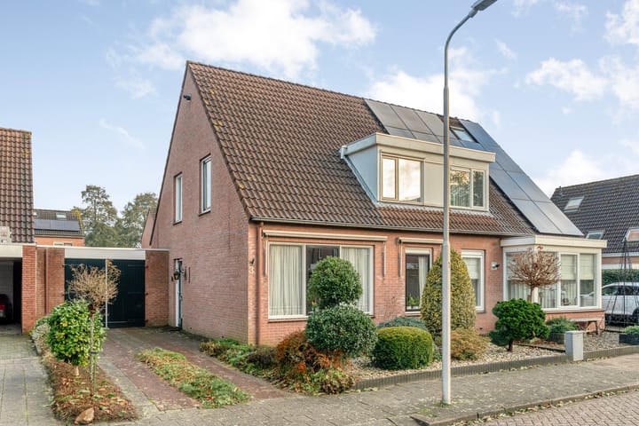 De Wederik 3 in Dedemsvaart foto