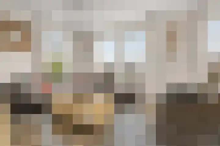 De Weech 39 Luxwoude thumbnail 10