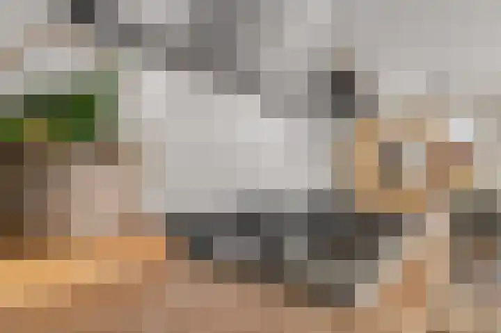 De Weech 39 Luxwoude thumbnail 18