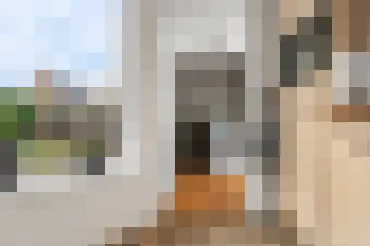 De Weech 39 Luxwoude thumbnail 19