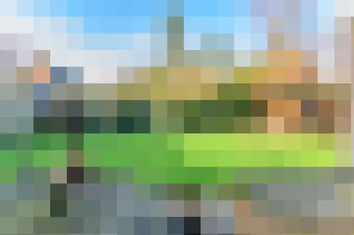 De Weech 39 Luxwoude thumbnail 34